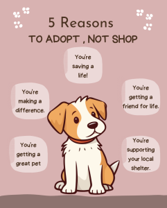 Why you should adopt not shop